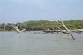 Canoe journey down the rivers of the Madre de Dios department in the Manu reserve